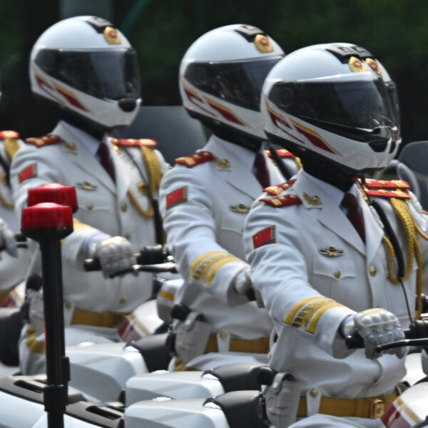 The Perfect Dictatorship?