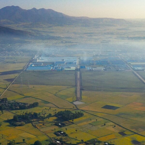 China’s Industrial Parks in Africa